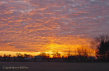 Sunrise Over Neighbors Homes