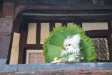 20100522-CRW_0094.jpg