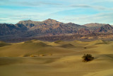 Sand Dune Vista