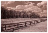 Fence Line