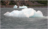 Alaska