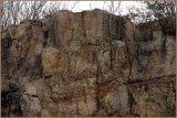 King Canyon Petroglyphs