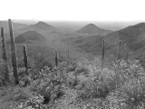 Desert BW