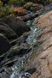 Up the Creek