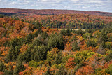 As far as my eye can see