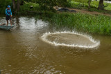 Splash