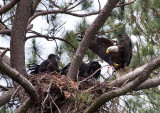 5-22-10-2926-male-with-fish.jpg