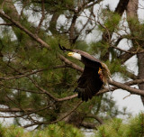 5-29-10-5711-male-with-fish.jpg