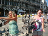 Pigeons like the girls