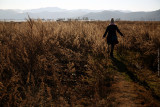 Grassland of Lashi Lake