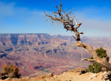 South Rim Grand Canyon