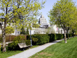 The Walkway
