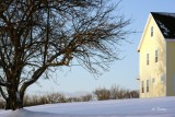 On The Hill