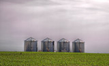 A quartet of containers