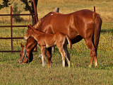 A family affair.