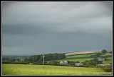 image 102909083