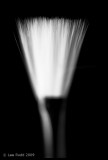 Brushed