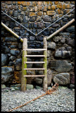 Clovelly Ladder II