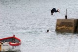 IMG_8815.jpg