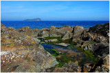 northBerwick12.jpg