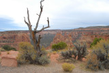 Colorado Nationa Monument