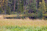Oulanka National Park: Hiidenlampi