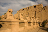Karnak Temple: Ram-headed Sphinxes