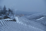 Barolo Italy, the blue hourr