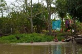 Bathing in the Mekong