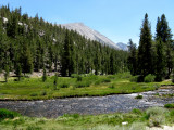 IMG_0351.JPG