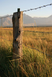 Late afternoon from camp