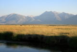 IMG_3949.JPG