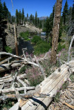 IMG_3897.JPG