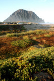 Morro Rock in Morro Bay