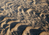 In the Sand