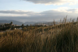 Coastal Morning Scene