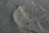 In the Sand