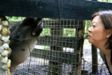 Nose to nose