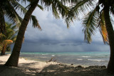 IMG_2863.JPG