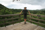Great views overlooking the jungle canopy