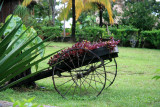 Grounds of the lodge