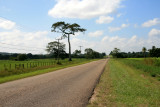 The road west