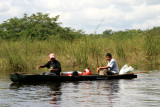 Life along the river