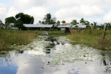 Mennonite Community