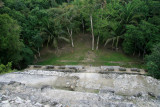 From the top