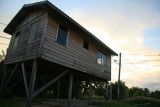 View along the walking path