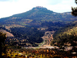 Ajloun Castel