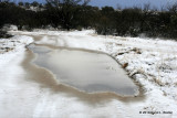 IMG_4923 Road Pond