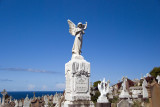 DSC_3586A.jpg