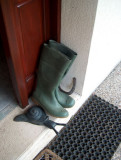 Wellies & Snails, Polminhac 2005